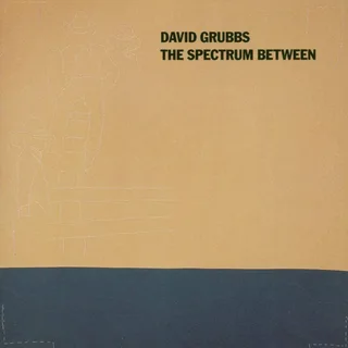 David Grubbs Spectrum Between (CD)