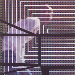 David Grubbs Plain Where The Palace Stood (CD)