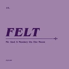 Felt Me And A Monkey On The Moon (CD+7")