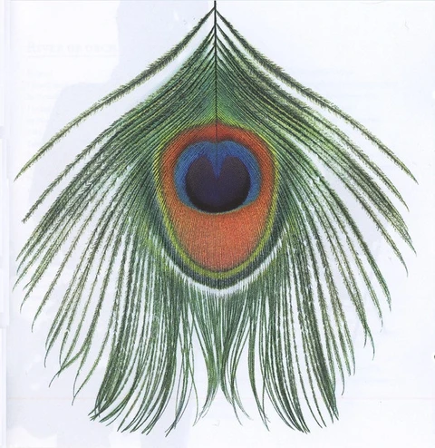 XTC Apple Venus Volume 1 (CD) 