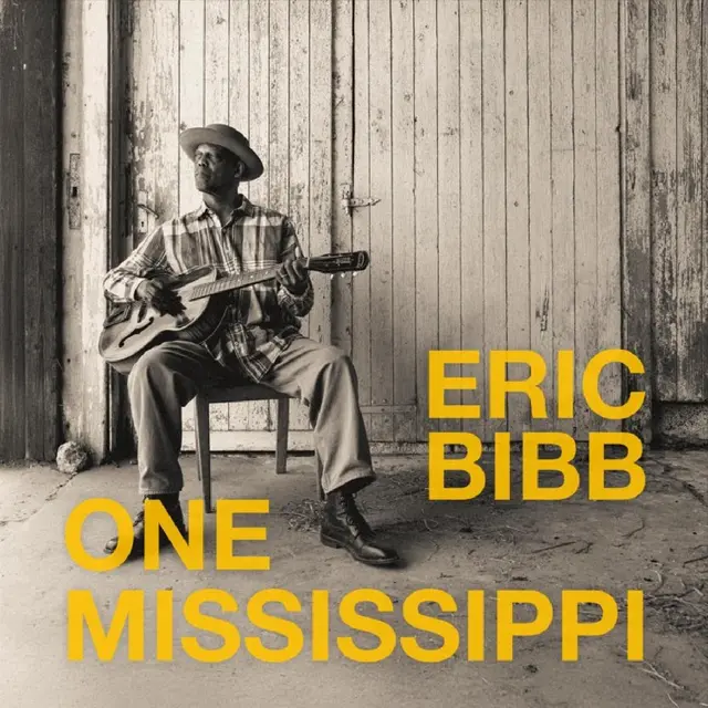 Eric Bibb One Mississippi (LP) 