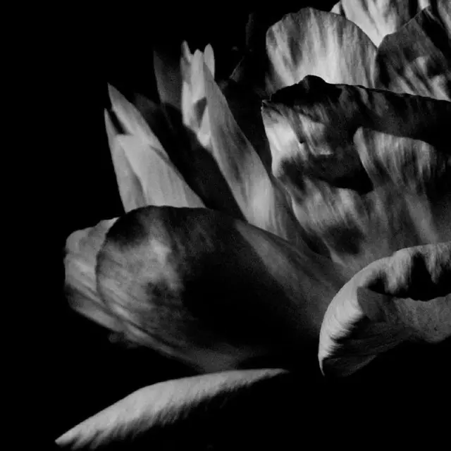 Louise Roam La Ou Passe La Nuit (2LP) 