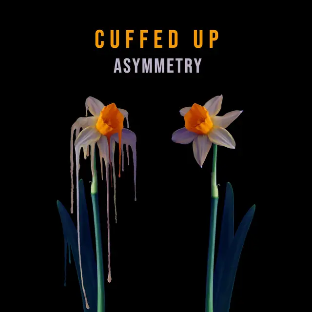 Cuffed Up Asymmetry (LP) 