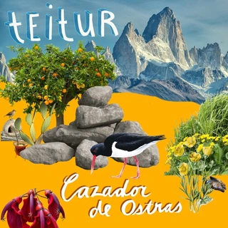 Teitur Cazador de Ostras (LP)