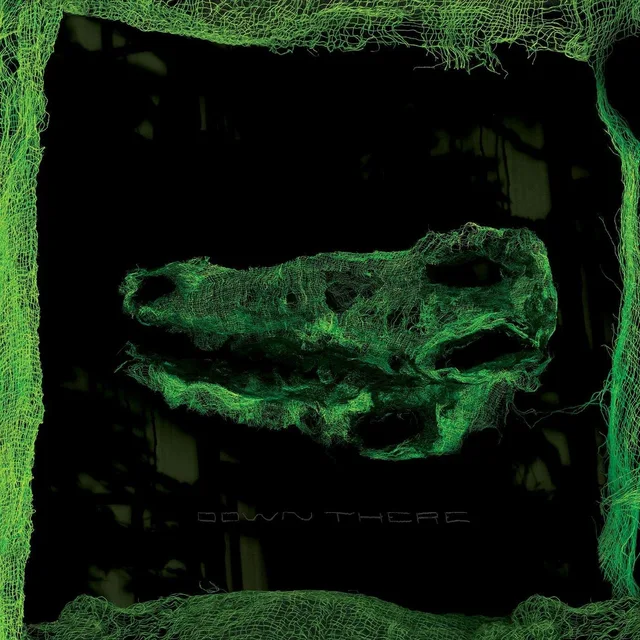 Avey Tare Down There (LP) 