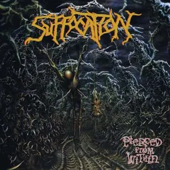 Suffocation Pierced From Within (CD)
