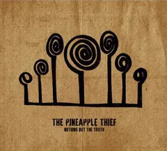 The Pineapple Thief Nothing But The Truth (2CD)
