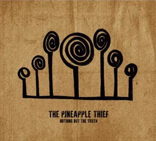 The Pineapple Thief Nothing But The Truth (2CD)