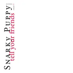 Snarky Puppy Tell Your Friends - 10 Year… (CD)