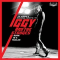Iggy &amp; The Stooges Born In A Trailer: The Session… (4CD)