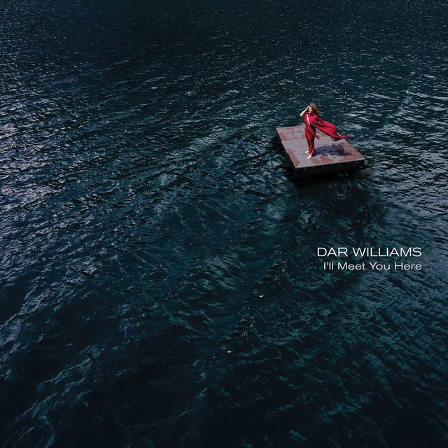 Dar Williams I'll Meet You Here (LP) 