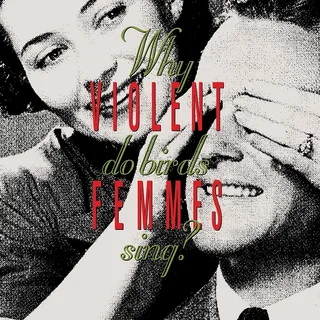 Violent Femmes Why Do Birds Sing? (LP)