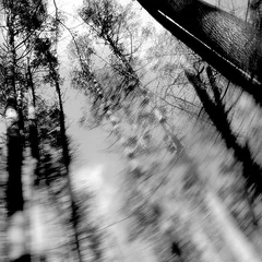 Loess Totems (LP)