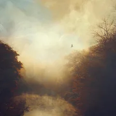 Stray Theories This Light (LP)