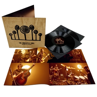 The Pineapple Thief Nothing But The Truth (2LP)