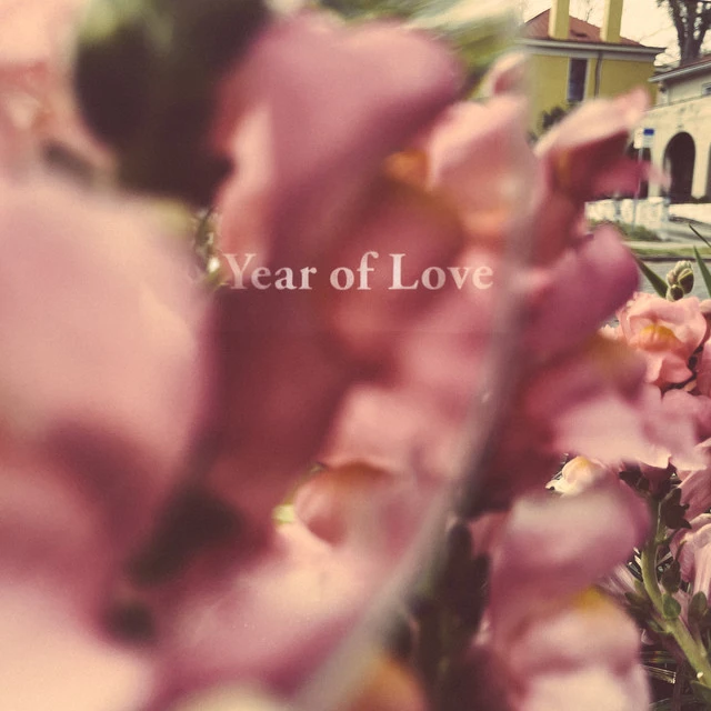 Beta Radio Year Of Love (LP) 
