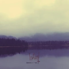 Livløst Symphony Of Flies (LP)