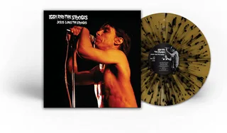 Iggy &amp; The Stooges Jesus Loves The Stooges - LTD (LP)