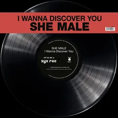 She Male I Wanna Discover You (12")
