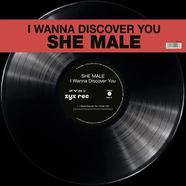 She Male I Wanna Discover You (12") 
