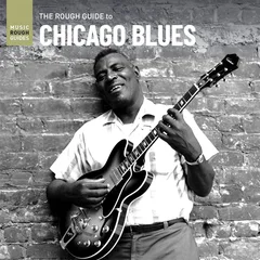 Diverse Artister The Rough Guide To Chicago Blues (LP)