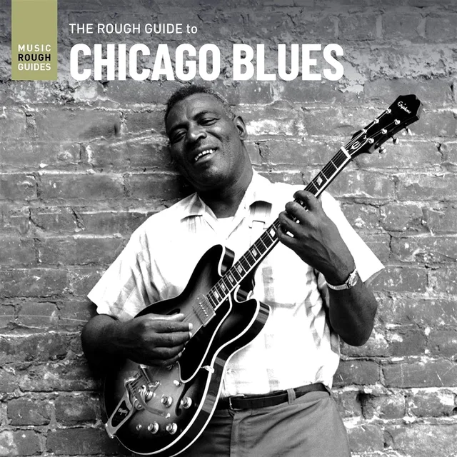 Diverse Artister The Rough Guide To Chicago Blues (LP) 