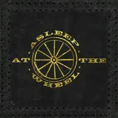 Asleep At The Wheel Half A Hundred Years (2LP)