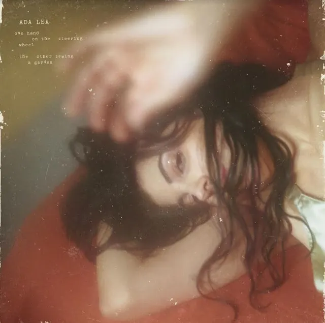 Ada Lea One Hand On The Steering Wheel The… (LP) 