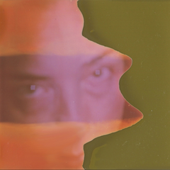 Grouper Shade (LP)