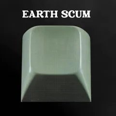 FYI Chris Earth Scum (2LP)