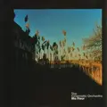 The Cinematic Orchestra Ma Fleur - LTD (2LP)