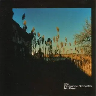 The Cinematic Orchestra Ma Fleur - LTD (2LP)