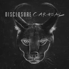 Disclosure Caracal: 10th Anniversary… - LTD (2LP)