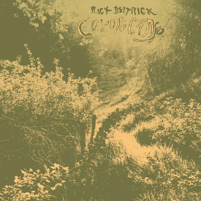 Rick Deitrick Coyote Canyon (LP) 