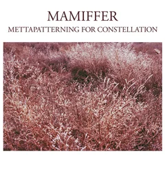 Mamiffer Mettapatterning For Constellation (LP)