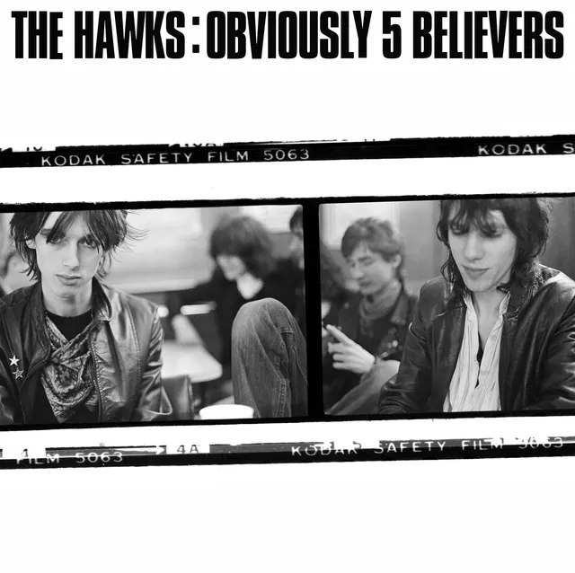 The Hawks Obviously 5 Believers (LP) 