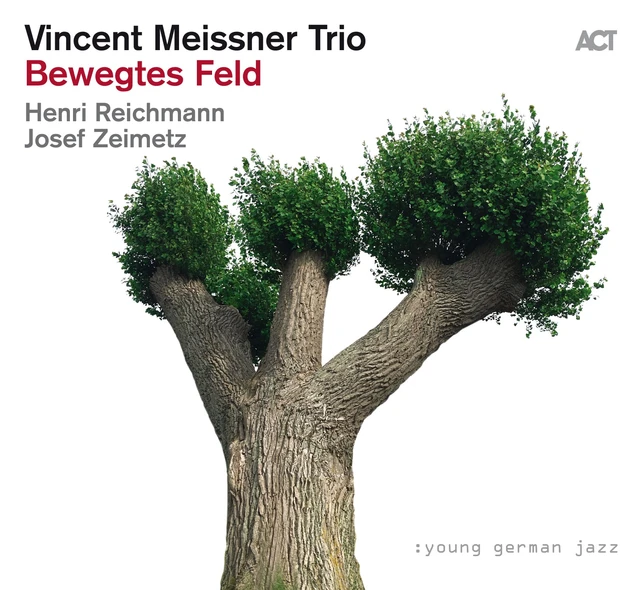 Vincent Meissner Trio Bewegtes Feld (CD) 