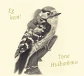 Tone Hulbækmo Eg Kan (CD)