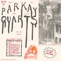 Parquet Courts Tally All The Things You Broke (12")