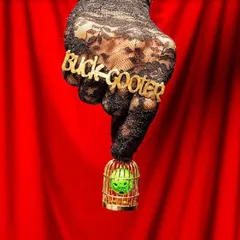 Buck Gooter Head In A Bird Cage (LP)