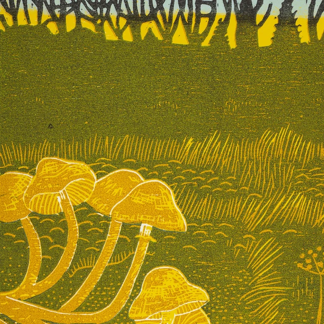 Rural Tapes Rural Tapes (LP) 