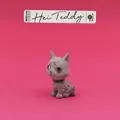 Matias Hilmar Iversen Hei Teddy (LP)