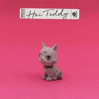 Matias Hilmar Iversen Hei Teddy (LP)