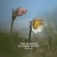 Tore Brunborg &amp; Steinar Raknes Folk Songs (LP)