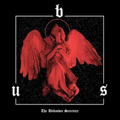 B.U.S Unknown Secretary - LTD (LP)
