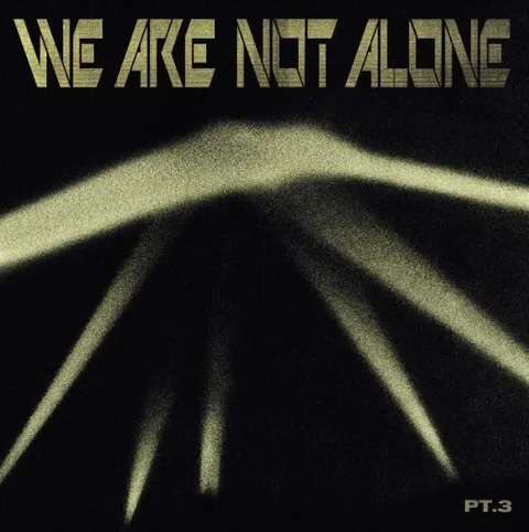 Diverse Artister We Are Not Alone - Part 3 (2LP) 