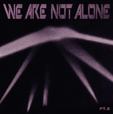 Diverse Artister We Are Not Alone - Part 2 (2LP) 