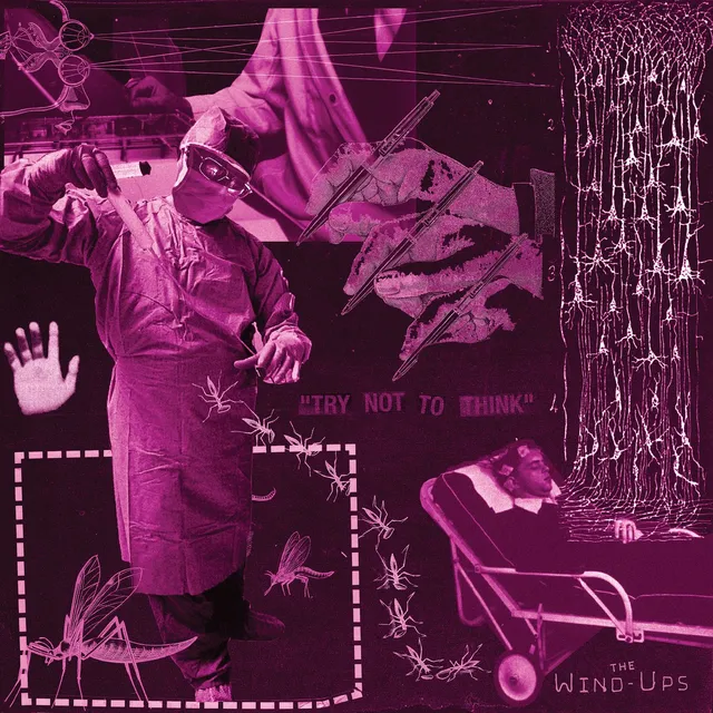 The Wind-Ups Try Not To Think (LP) 