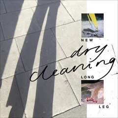 Dry Cleaning New Long Leg (CD)