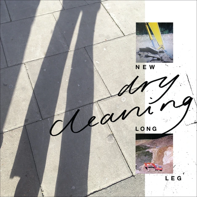 Dry Cleaning New Long Leg (CD) 